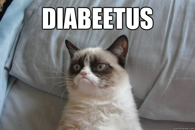 Diabeetus  GrumpyCatOL