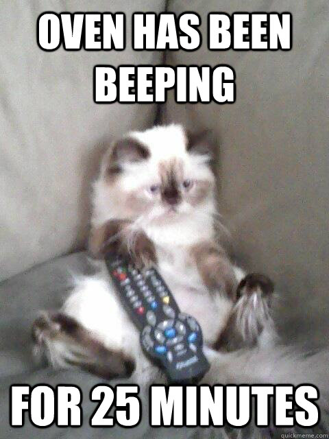 oven has been beeping for 25 minutes  tv cat
