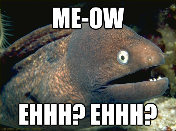 me-Ow ehhh? ehhh?  Bad Joke Eel