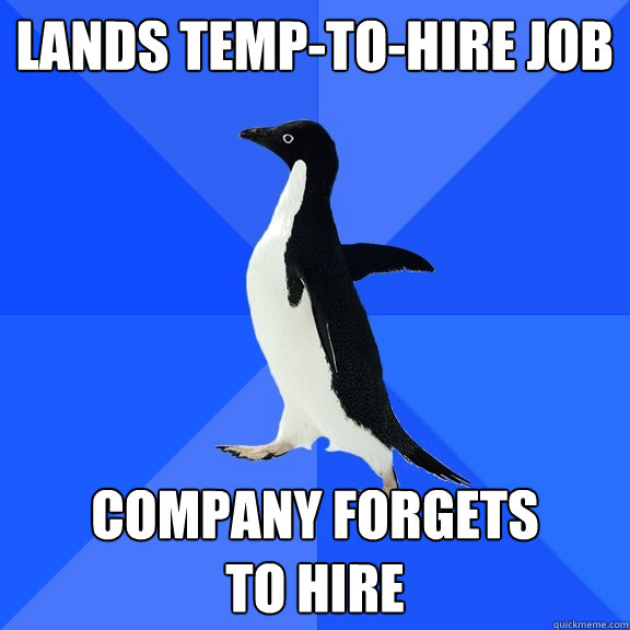 lands temp-to-hire job company forgets 
to hire - lands temp-to-hire job company forgets 
to hire  Socially Awkward Penguin