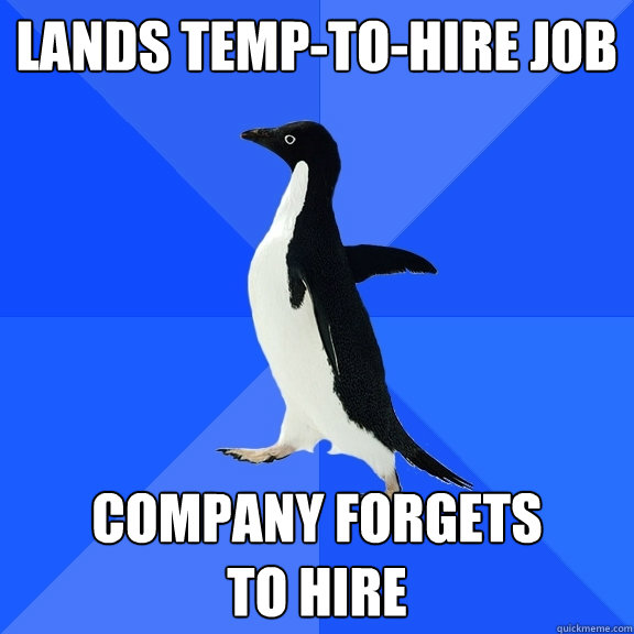 lands temp-to-hire job company forgets 
to hire  Socially Awkward Penguin