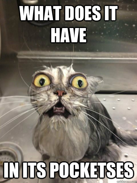 what does it have in its pocketses - what does it have in its pocketses  Misc