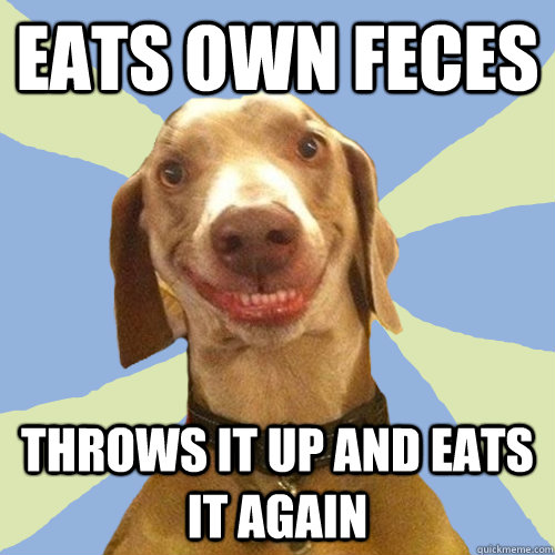 Eats own feces throws it up and eats it again  Disgusting Doggy
