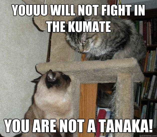 Youuu will not fight in the kumate You are not a tanaka!  Battle Cats