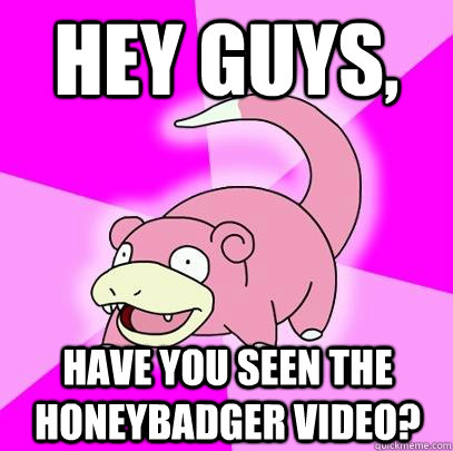 Hey guys, Have you seen the honeybadger video?  Slowpoke