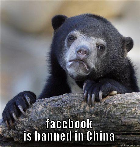  FACEBOOK IS BANNED IN CHINA Confession Bear