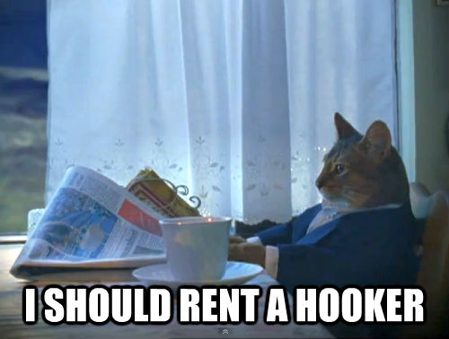  I SHOULD RENT A HOOKER  The One Percent Cat