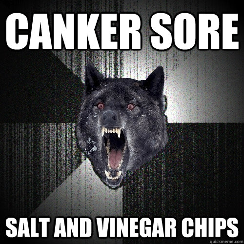 canker sore salt and vinegar chips  Insanity Wolf