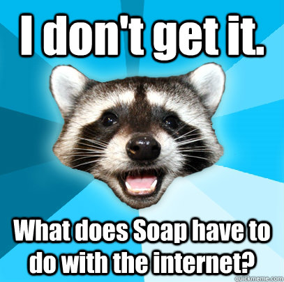 I don't get it. What does Soap have to do with the internet?  Lame Pun Coon