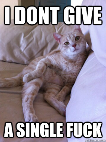 I dont give a single fuck  careless cat