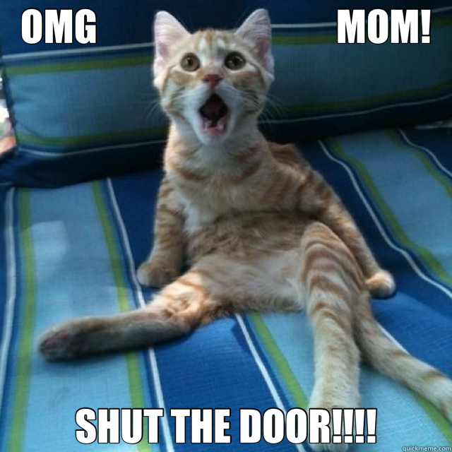 OMG                                MOM! SHUT THE DOOR!!!!  