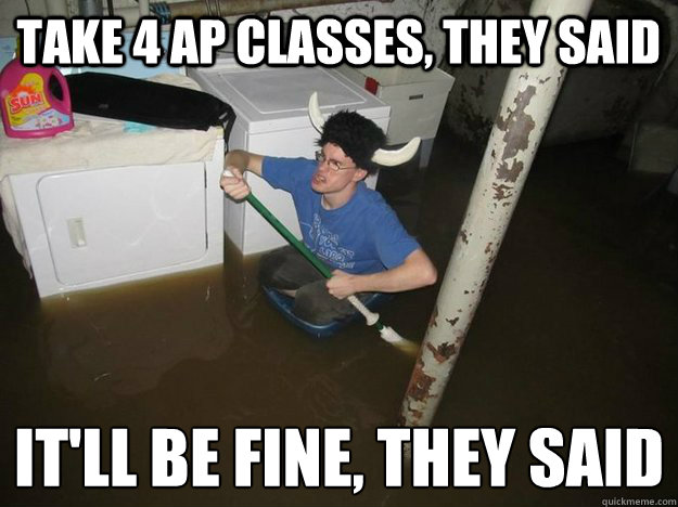 take 4 ap classes, they said it'll be fine, they said
  Laundry viking