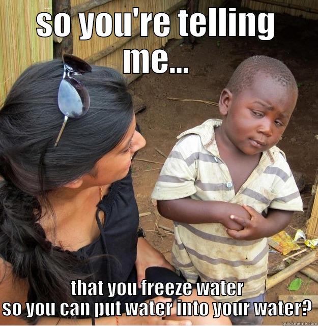 SO YOU'RE TELLING ME... THAT YOU FREEZE WATER SO YOU CAN PUT WATER INTO YOUR WATER? Skeptical Third World Kid