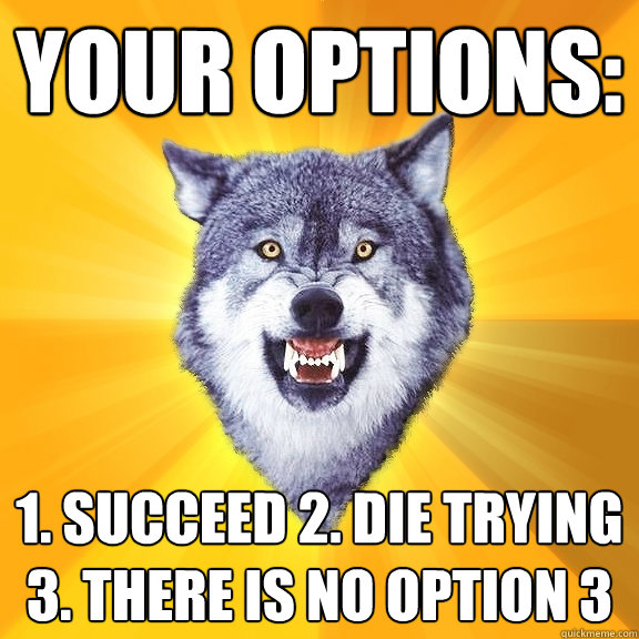 your options: 1. succeed 2. die trying 3. there is no option 3  Courage Wolf