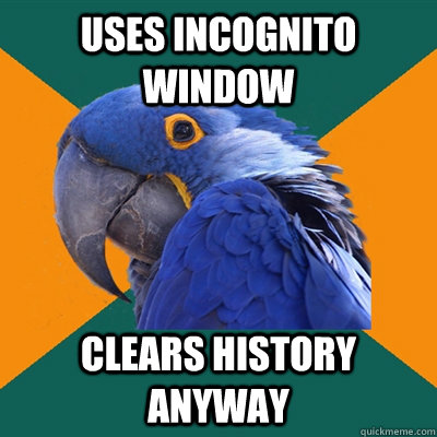 uses incognito window clears history anyway  Paranoid Parrot