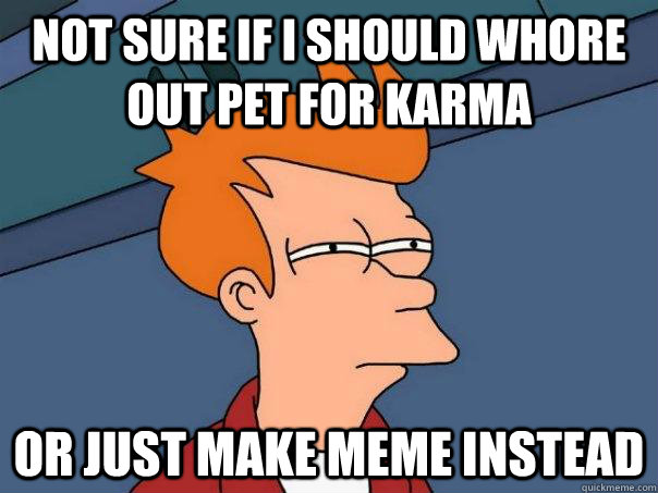 Not sure if i should whore out pet for karma Or just make meme instead  Futurama Fry
