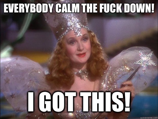 Everybody calm the fuck down! I got this!   Glinda the good witch