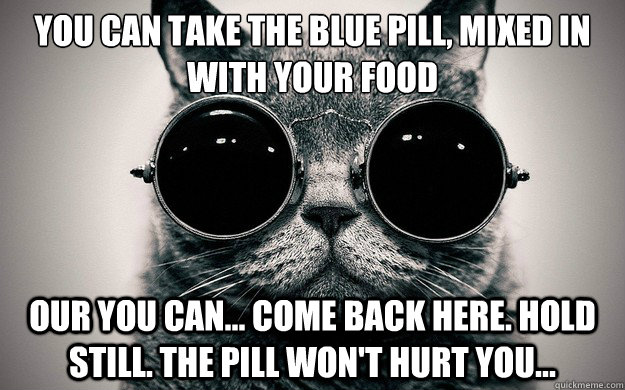you can take the blue pill, mixed in with your food our you can... come back here. hold still. the pill won't hurt you...  Morpheus Cat Facts