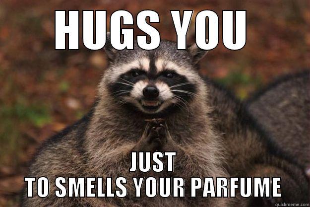 HUGS YOU JUST TO SMELLS YOUR PARFUME Evil Plotting Raccoon
