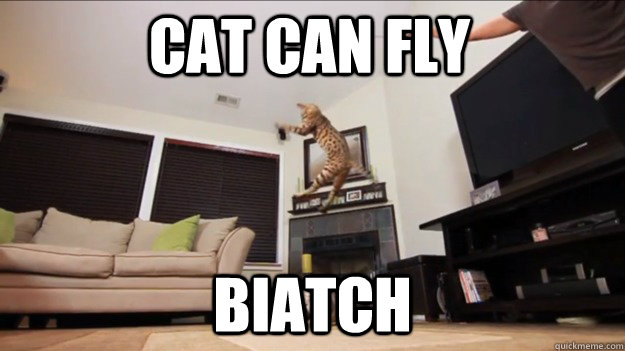 CAT CAN FLY BIATCH - CAT CAN FLY BIATCH  Ninja Kitty