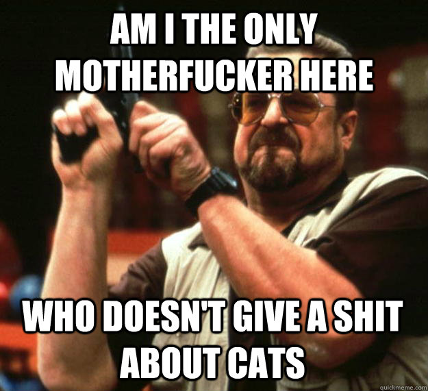 am i the only motherfucker here who doesn't give a shit about cats  Angry Walter