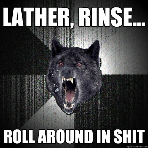 Lather, rinse... Roll around in shit  Insanity Wolf