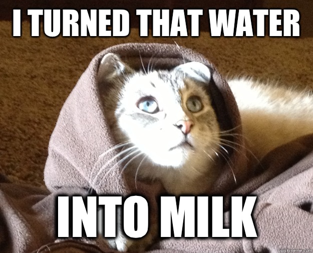I turned that water  Into milk  Kitty Jesus
