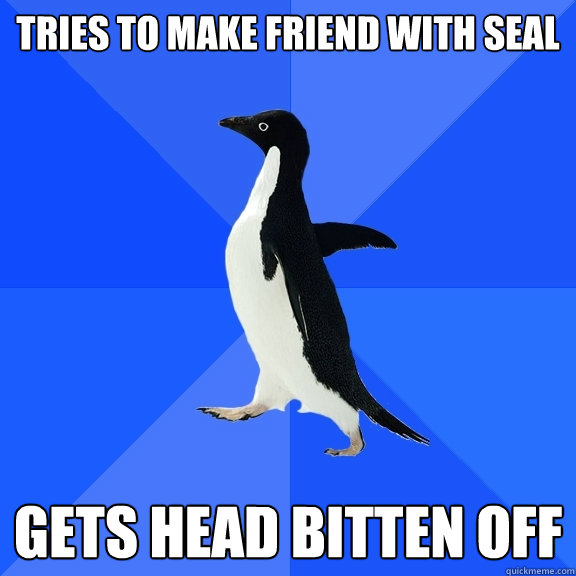 Tries to make friend with seal Gets head bitten off  Socially Awkward Penguin