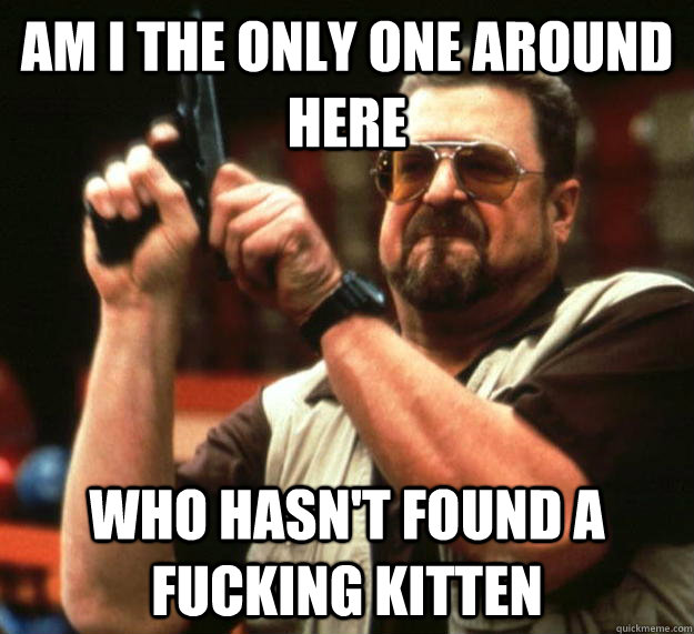 am I the only one around here Who hasn't found a fucking kitten  Angry Walter