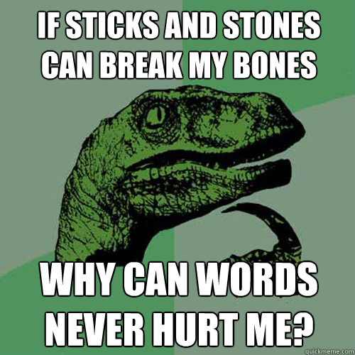 If sticks and stones can break my bones why can words never hurt me?   Philosoraptor