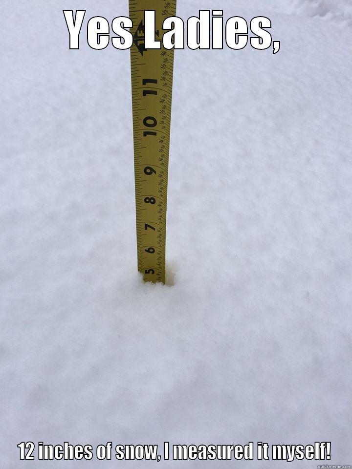 Man measure - YES LADIES, 12 INCHES OF SNOW, I MEASURED IT MYSELF! Misc