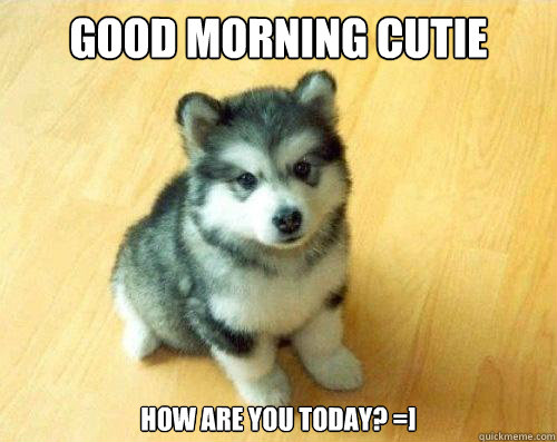 good morning cutie how are you today? =]  Baby Courage Wolf