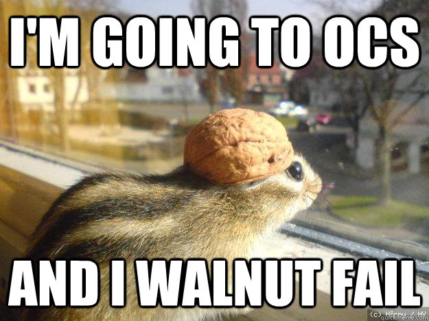 I'm going to Ocs And I walnut fail  Adventure Chipmunk