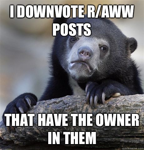 I downvote r/aww posts That have the owner in them  Confession Bear