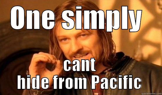 ONE SIMPLY  CANT HIDE FROM PACIFIC Boromir