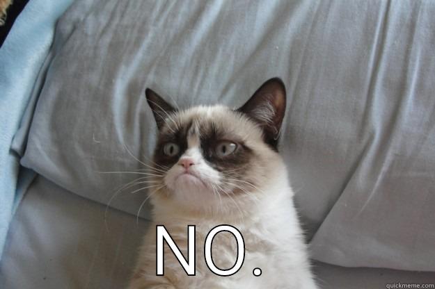  NO. Grumpy Cat