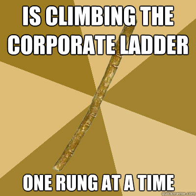 is climbing the corporate ladder one rung at a time  