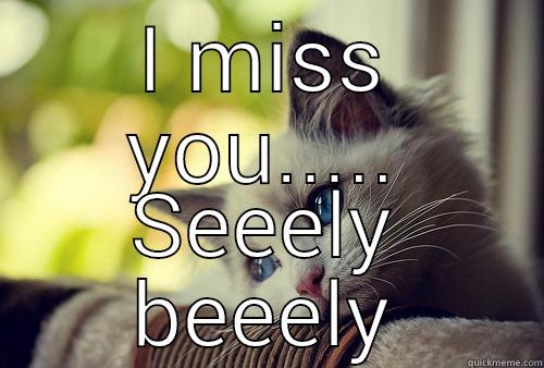 I MISS YOU..... SEEELY BEEELY First World Problems Cat