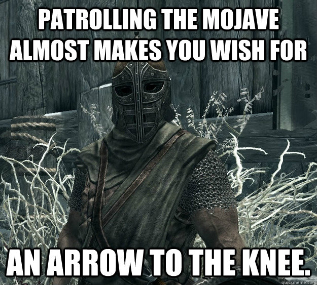 Patrolling the Mojave almost makes you wish for an arrow to the knee. - Patrolling the Mojave almost makes you wish for an arrow to the knee.  Skyrim Guard