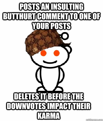 posts an insulting butthurt comment to one of your posts deletes it before the downvotes impact their karma  Scumbag Reddit