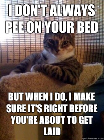 I don't always pee on your bed but when I do, I make sure it's right before you're about to get laid  The Most Interesting Cat in the World