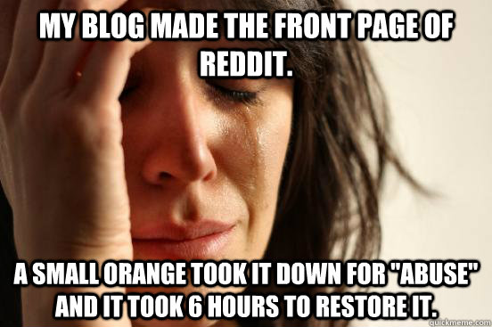 My blog made the front page of Reddit. A Small Orange took it down for 