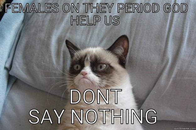 FEMALES ON THEY PERIOD GOD HELP US  DONT SAY NOTHING  Grumpy Cat