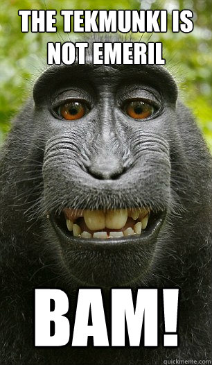 THE TEKMUNKI IS NOT EMERIL BAM!  Mindful Macaque
