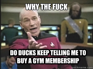 why the fuck do ducks keep telling me to buy a gym membership  Annoyed Picard
