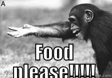                                                     FOOD PLEASE!!!!!                                    Misc