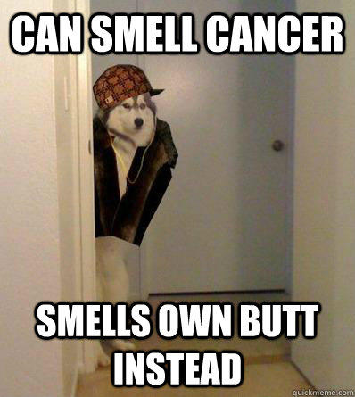 CAN SMELL CANCER SMELLS OWN BUTT INSTEAD  Scumbag dog