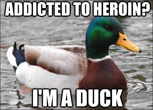 Addicted to heroin? I'm a duck  Actual Advice Mallard