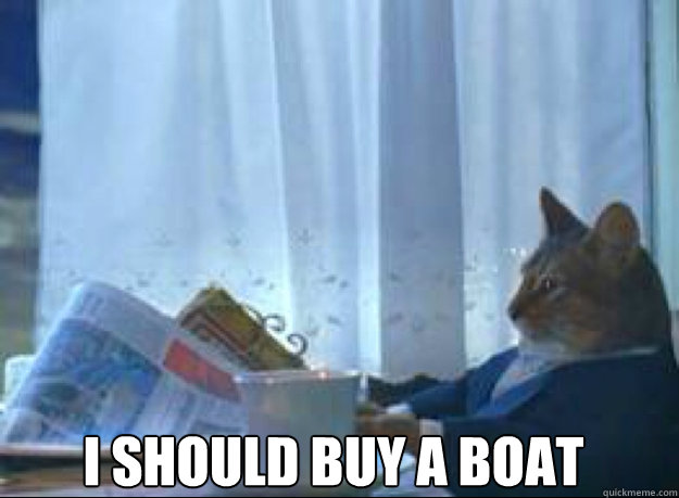 I should buy a boat   I should buy a boat cat