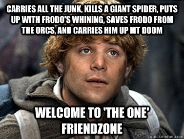 Carries all the junk, Kills a Giant spider, Puts up with Frodo's Whining, Saves Frodo from the Orcs, AND carries him up Mt Doom Welcome to 'the One' Friendzone  
